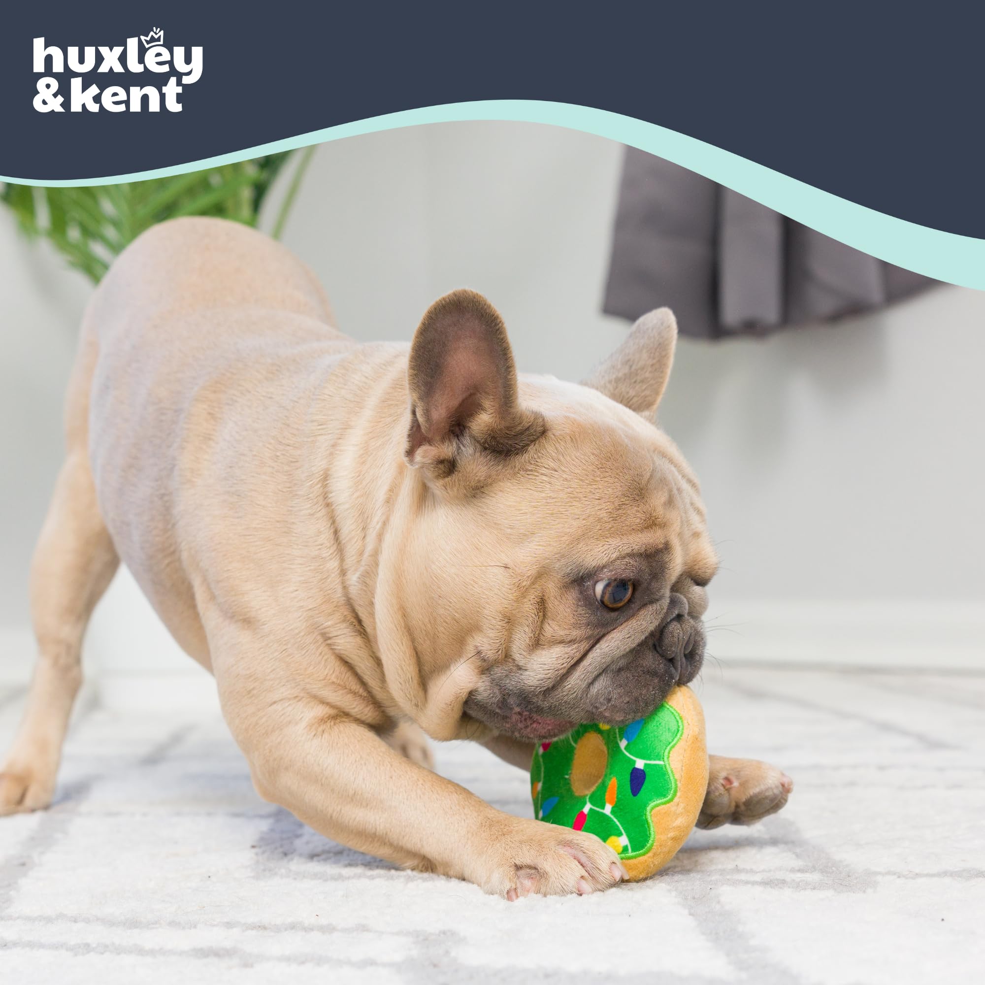 Huxley & Kent small dog safe toy with reinforced seams for durability