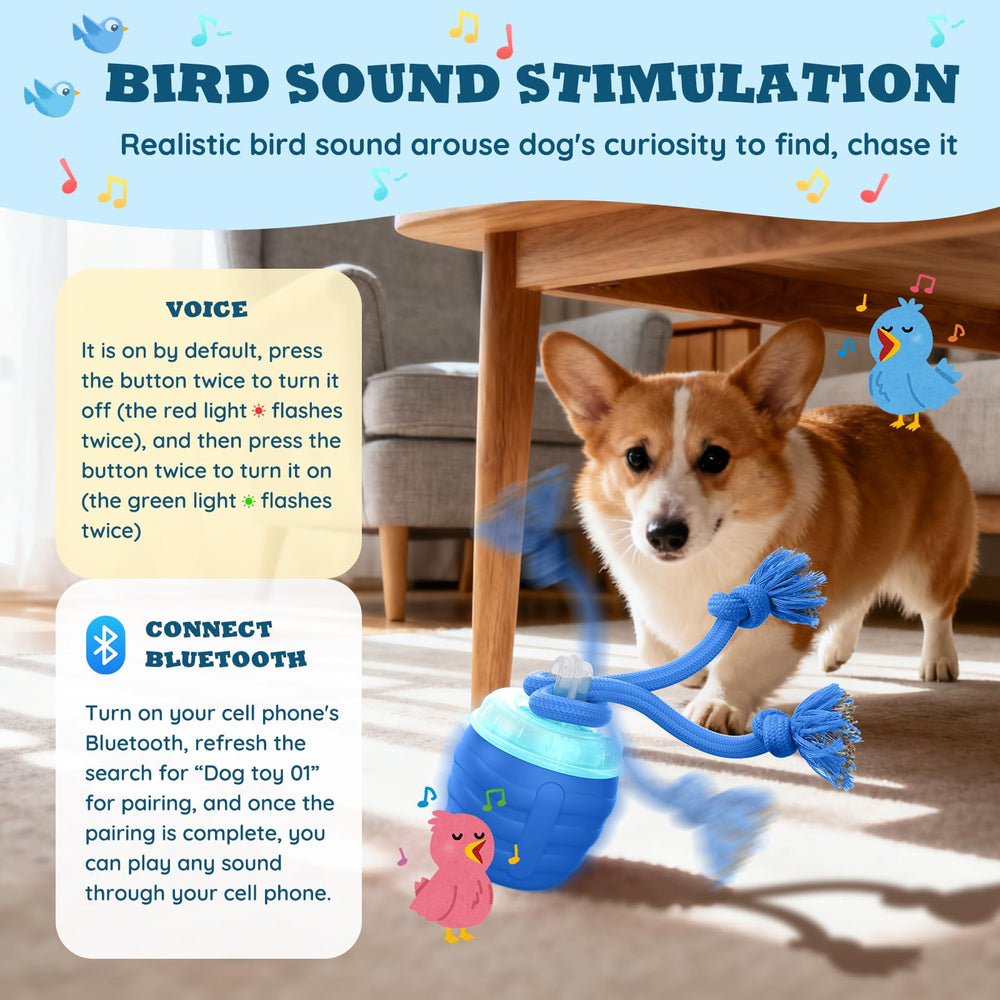 HVUATQ dog ball blue bluetooth music showcases audio playback capability.
