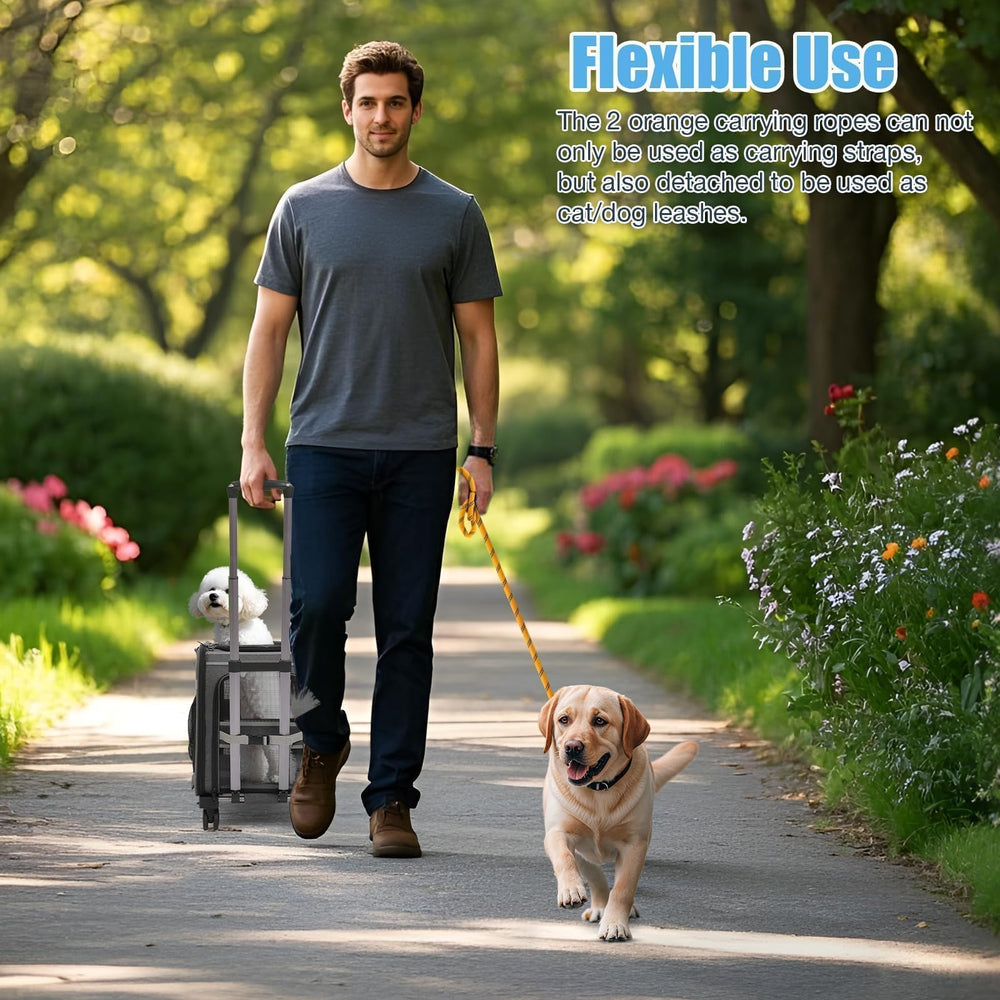 HWAEYEM two safety leashes prevent pet escapes during travel