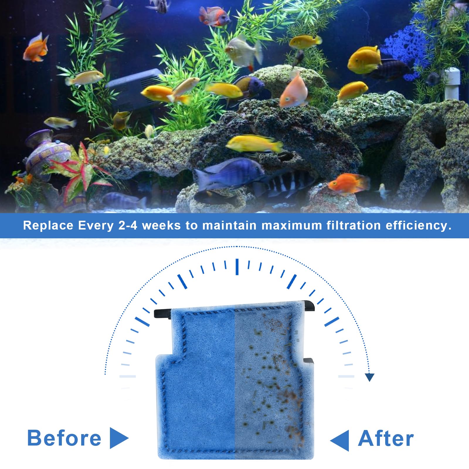 HWEIUA water clarity improves with Rite-Size A cartridges in a home aquarium.