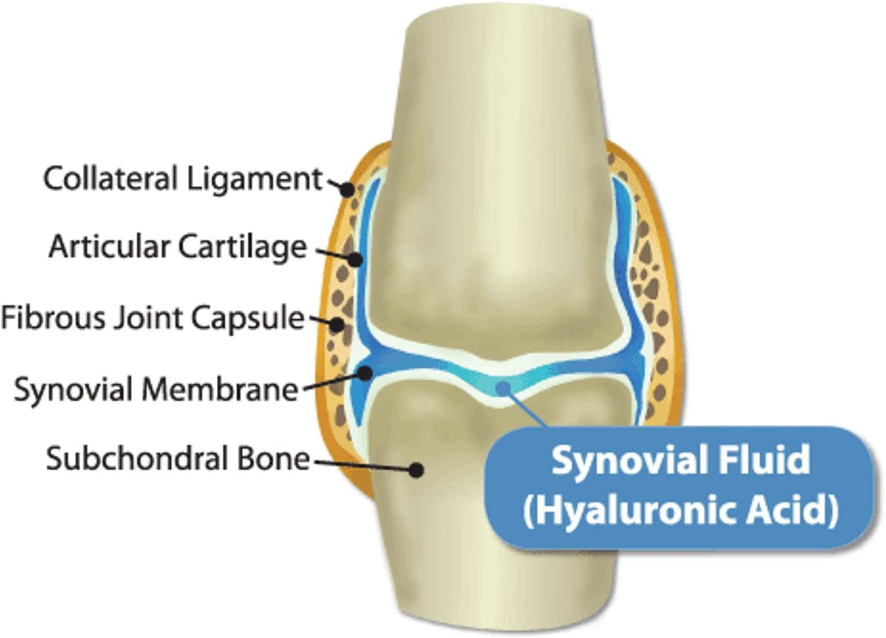 Hyalogic HyaFlex Pro Pure immune support with zinc for daily vitality