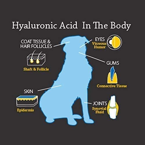 Hyalogic HyaFlex Pro Pure senior dog flexibility feature across age