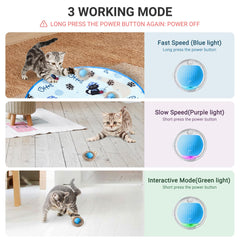 Hyfico three-speed settings adapt play style for kittens or adults