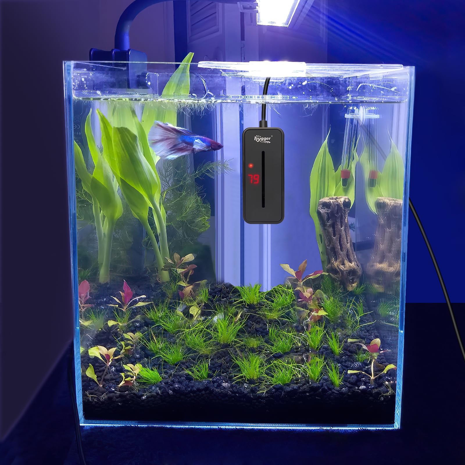 Hygger 100W memory-function display demonstrates last temperature setting retention.