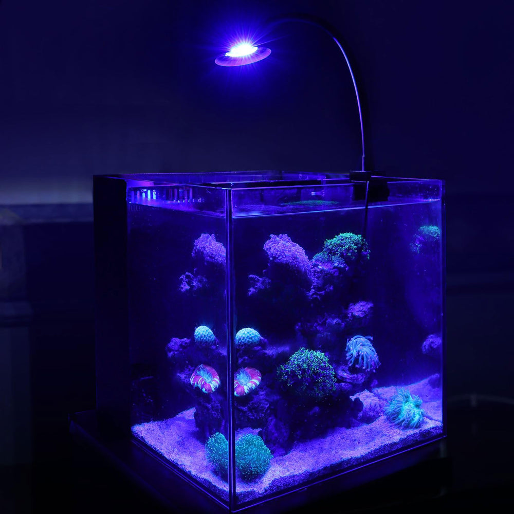 Hygger 30W Reef Light ideal for 18x18 aquariums and low-light corals.