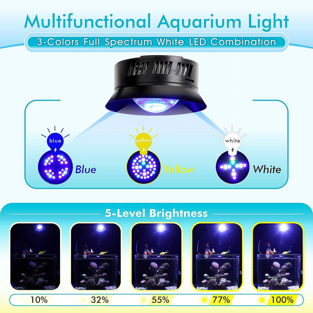 Hygger 30W Reef Light 20x20 inch diffusion area enables deeper tank reach.