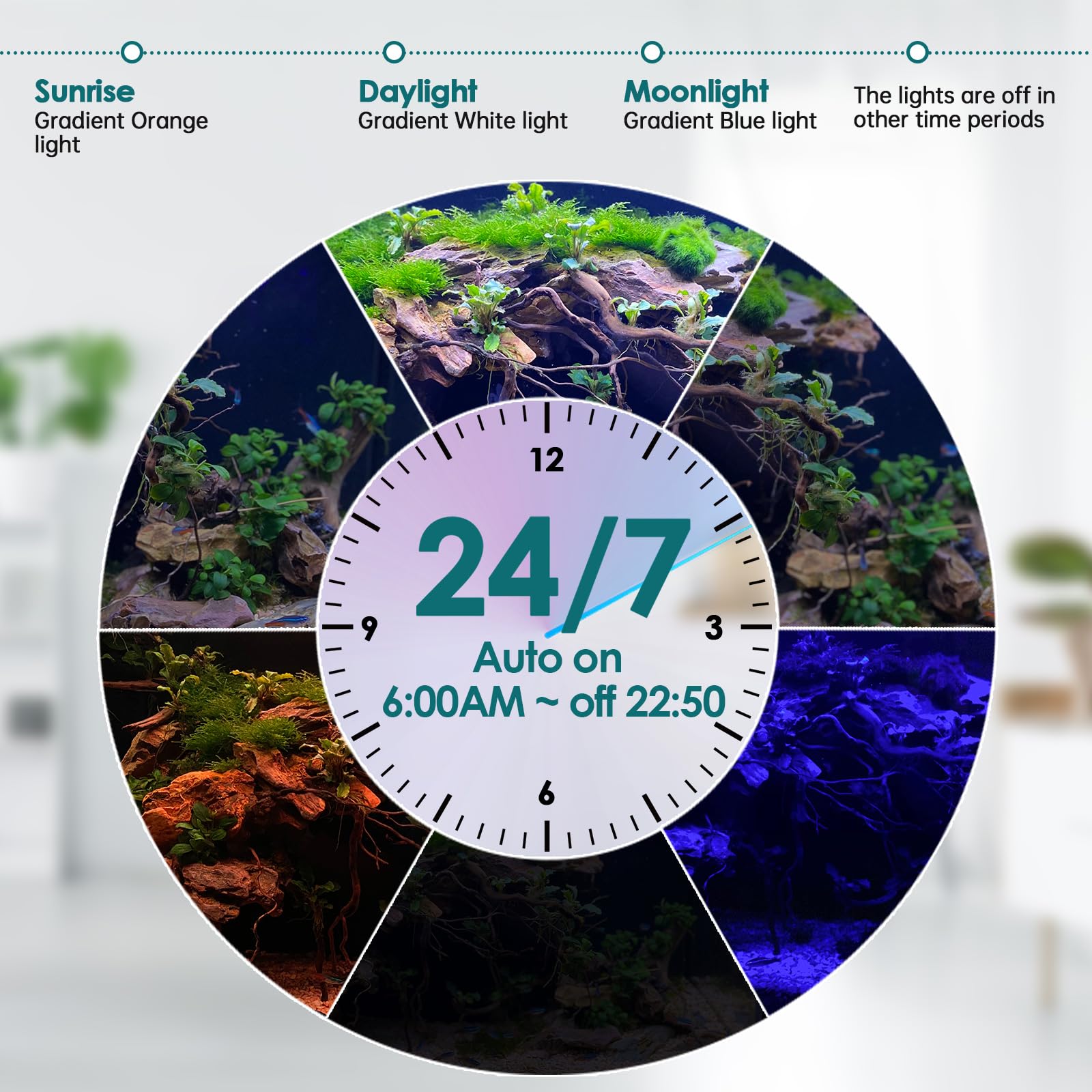 Hygger 7-color spectrum cycling to showcase fish and corals