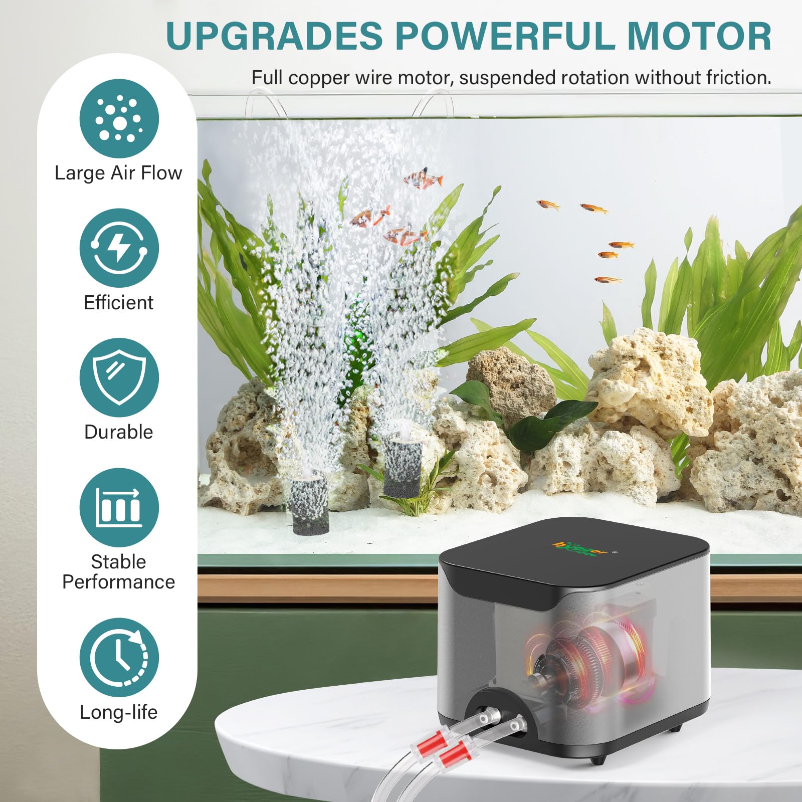 Hygger air pump dual outlets closeup shows stable oxygen delivery to two tanks