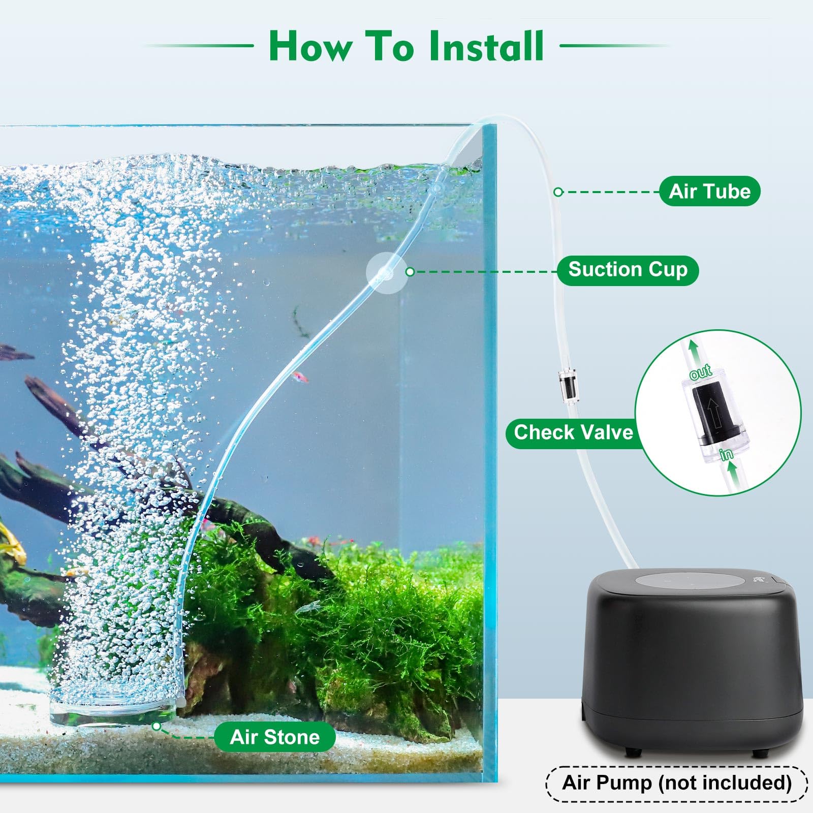 hygger suction-cup keeps the bubbler steady during fish keeping
