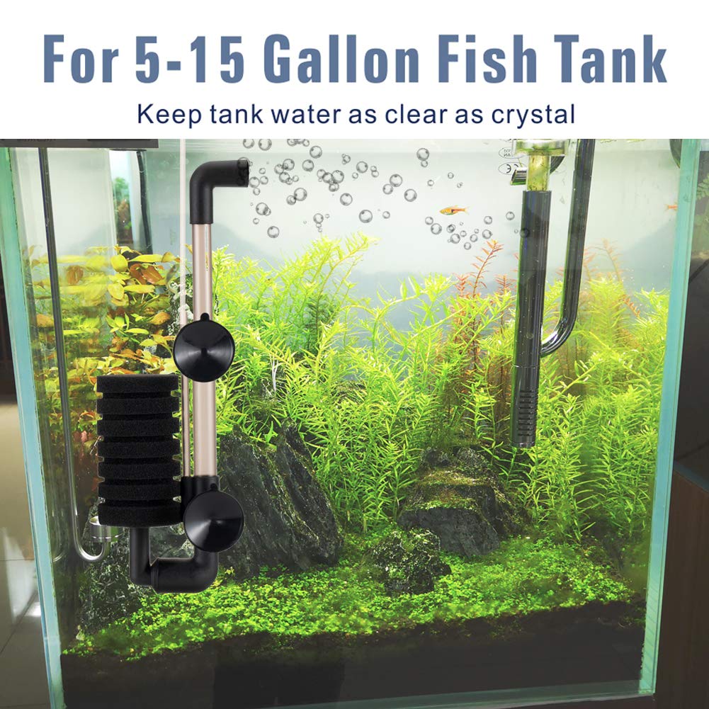 Hygger aquarium setup 5-15 gallon small fish tank illustrates practical nano-tank application.