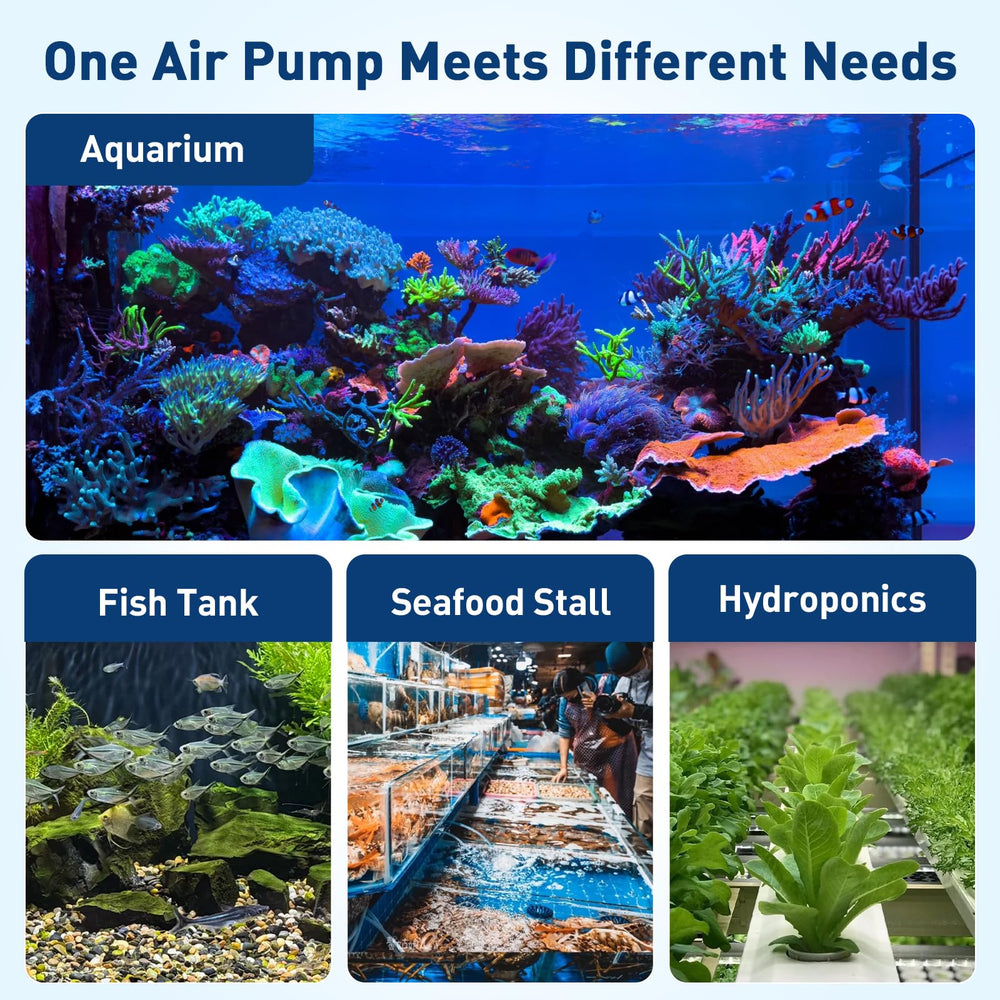 Hygger aquarium setup showing bubble pump in action for visual calm.