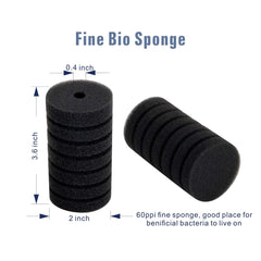 Hygger sponge filter assembled in aquarium demonstrates straightforward setup and reliable placement.