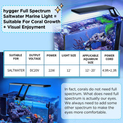 Hygger clip-on daylight full-spectrum light highlights vibrant colors and healthy growth
