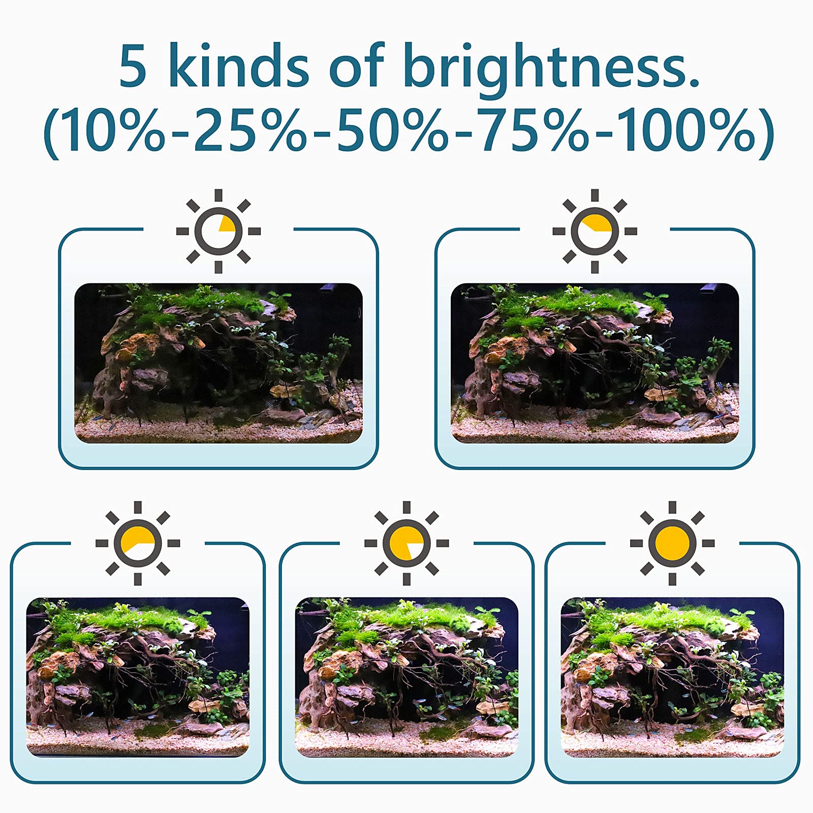 hygger clip-on led planted tank illumination shows plant-friendly spectrum and scheduling