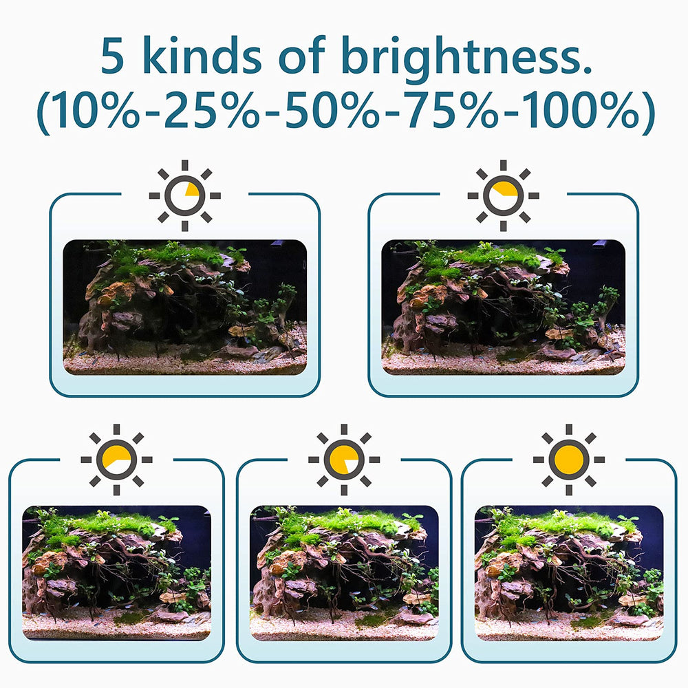 hygger clip-on led planted tank illumination shows plant-friendly spectrum and scheduling
