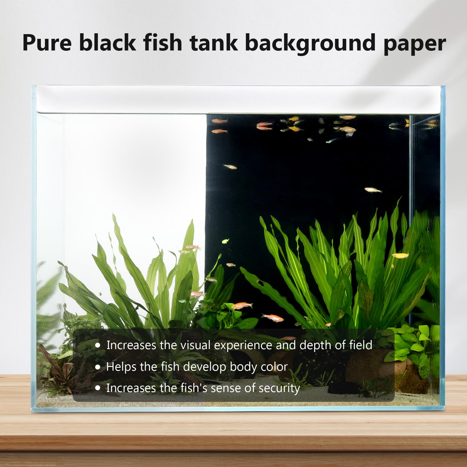 Hygger CO2 backdrop kit includes scraper and spray bottle for easy setup.