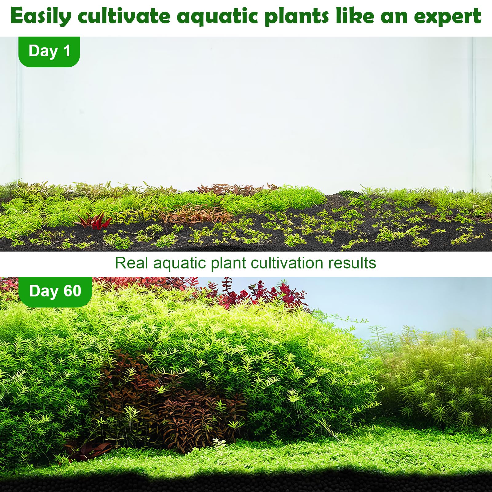 Hygger CO2 aquarium soil planted tank scene illustrates vibrant plant life