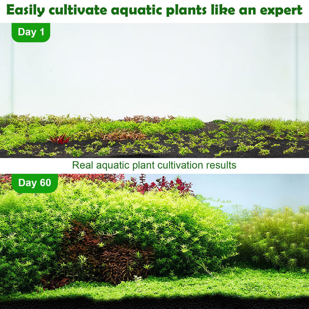 Hygger CO2 aquarium soil planted tank scene illustrates vibrant plant life