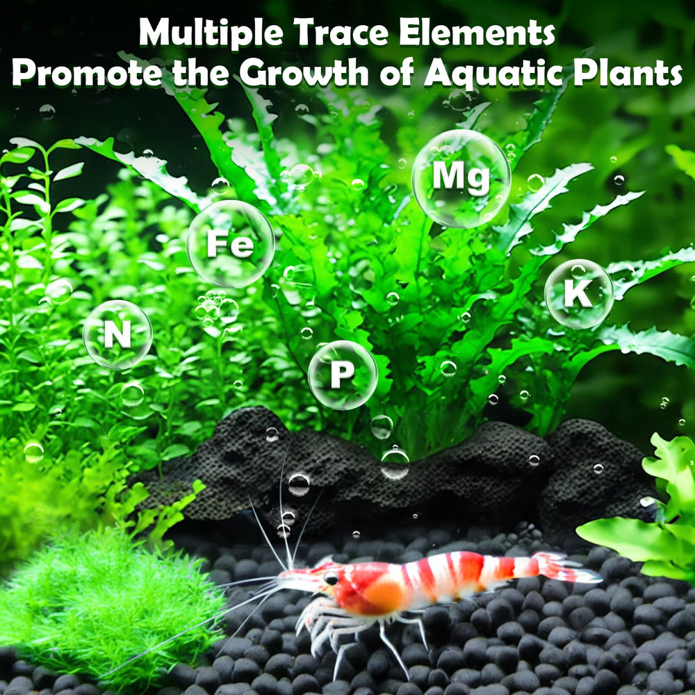 Hygger CO2 aquarium soil root support demonstrates healthy root contact and stability