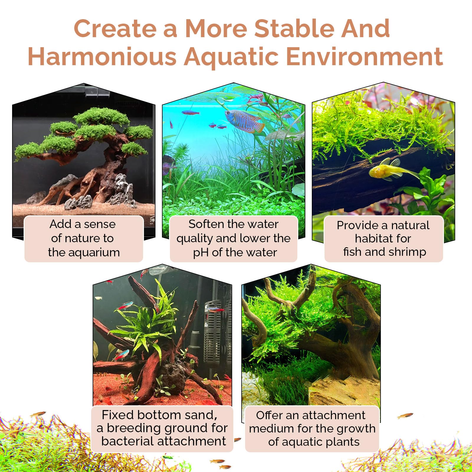 Hygger CO2 sturdy driftwood provides durable decor for aquarium and terrarium.