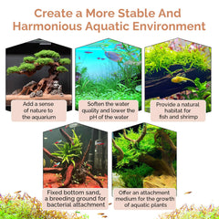 Hygger CO2 sturdy driftwood provides durable decor for aquarium and terrarium.