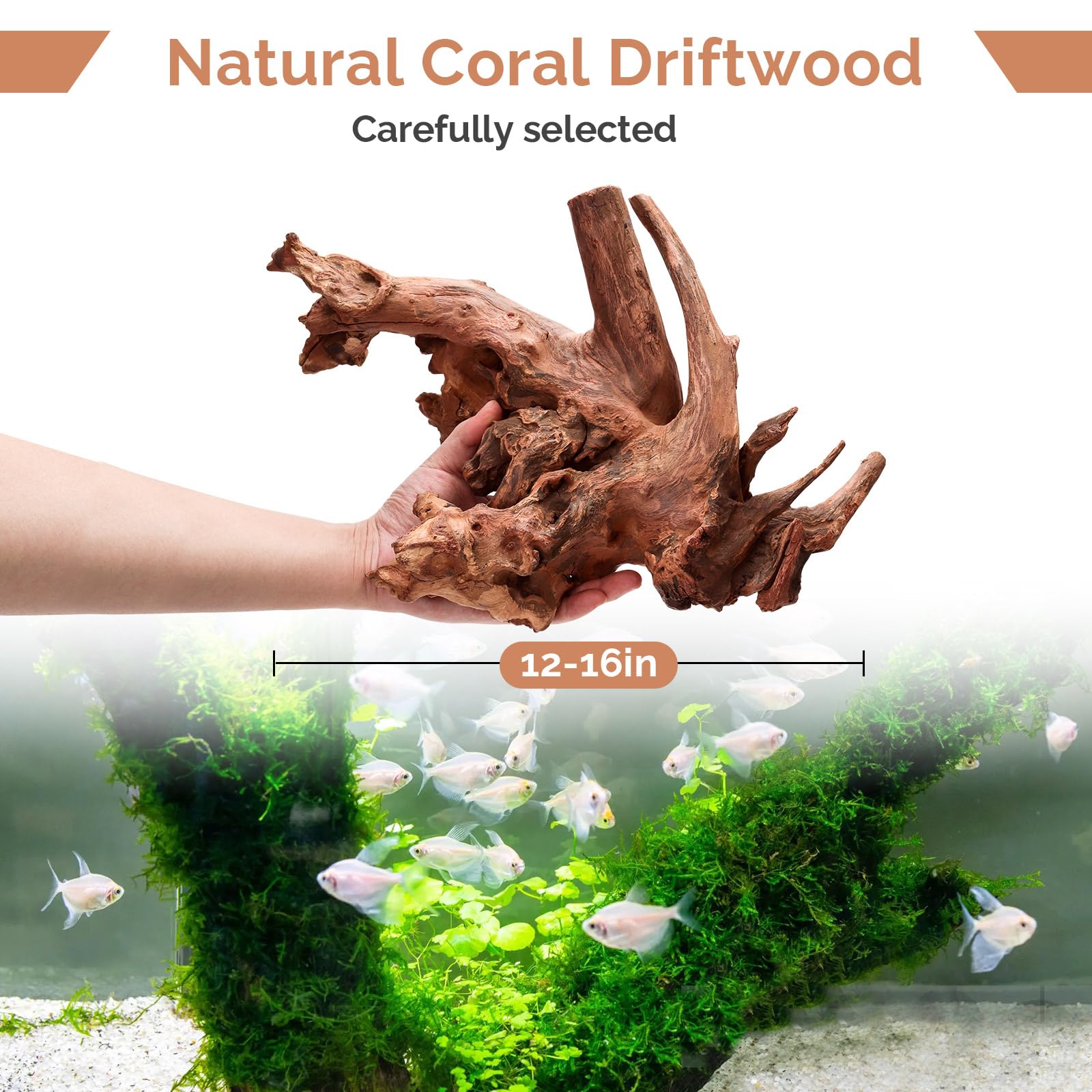 Hygger CO2 natural driftwood used as a climbing branch in reptile habitats.