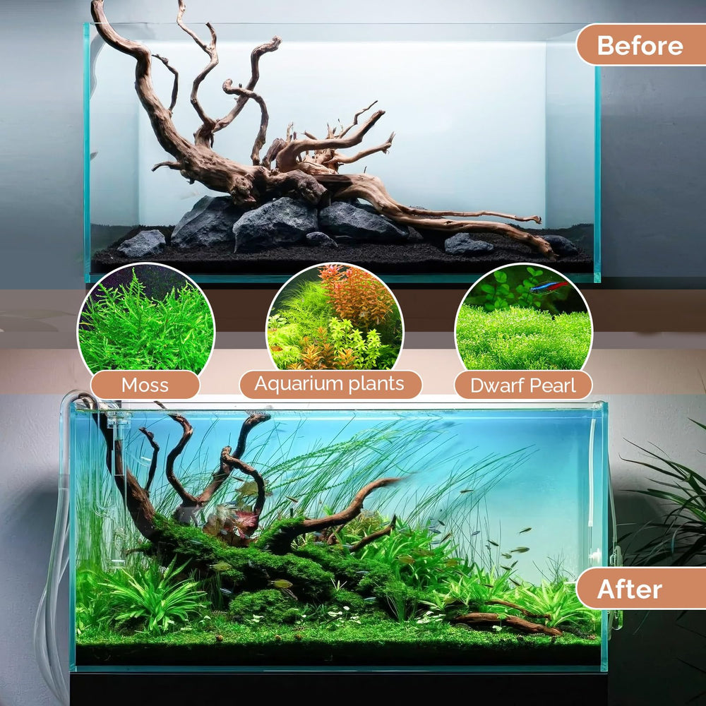 Hygger CO2 reusable driftwood ready after thorough rinsing for reptile tanks.
