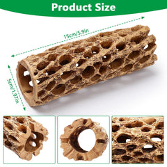 Hygger CO2 resin cholla wood decor provides climbing toy for aquatic life.