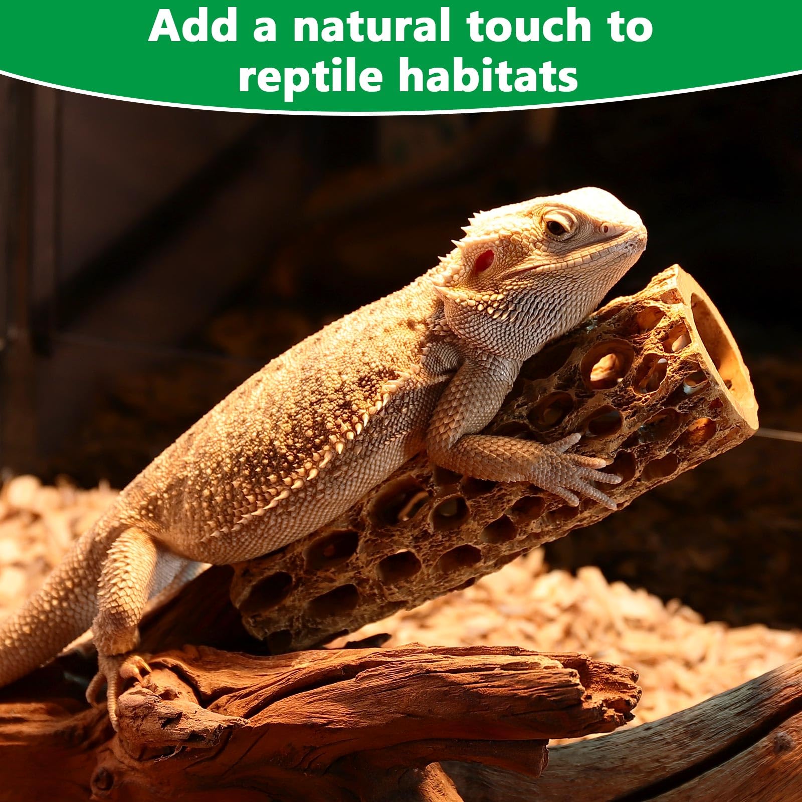 Hygger CO2 resin cholla wood decor suitable for freshwater and saltwater setups.