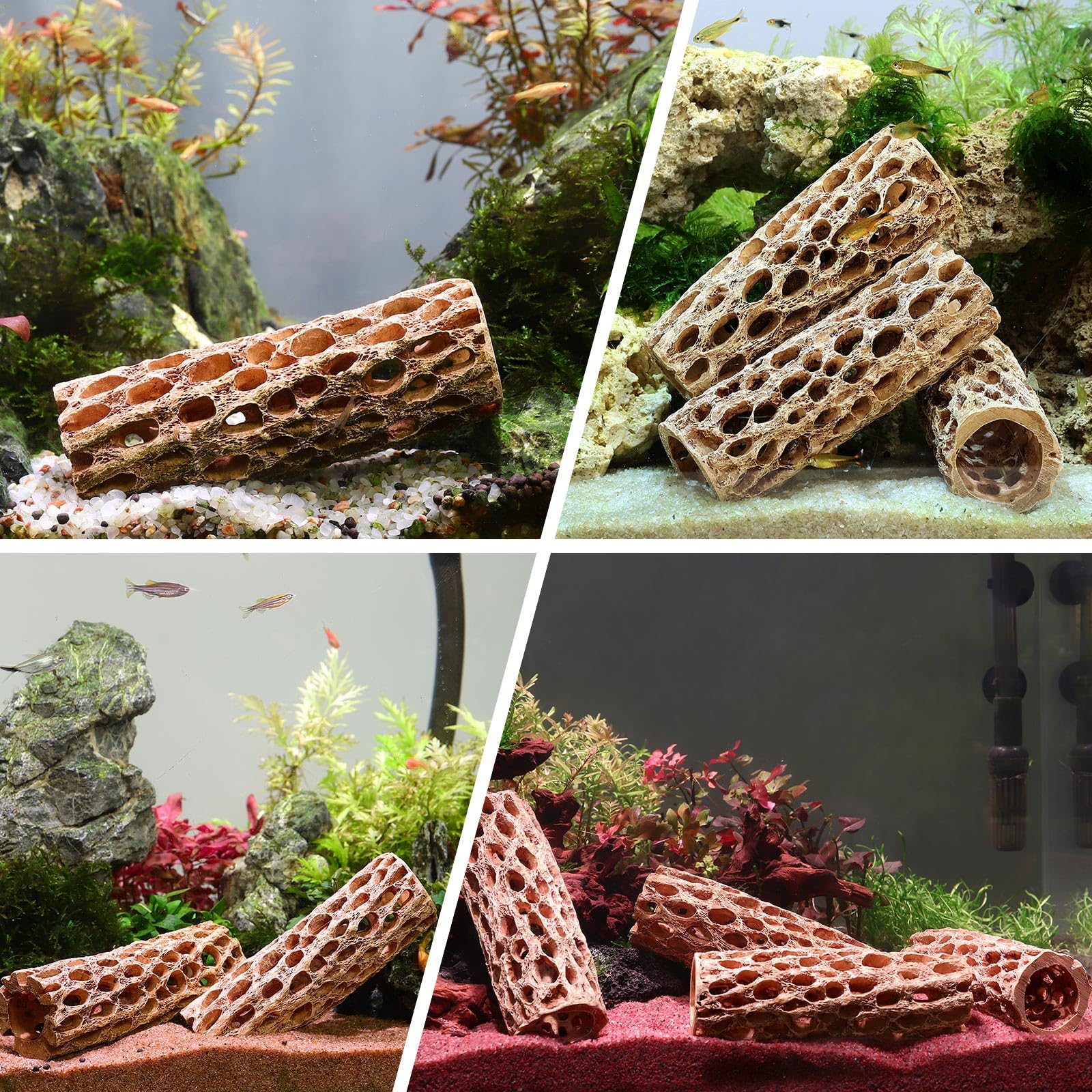 Hygger CO2 Resin Cholla Wood aquarium decor 2pcs showcases versatile setup.