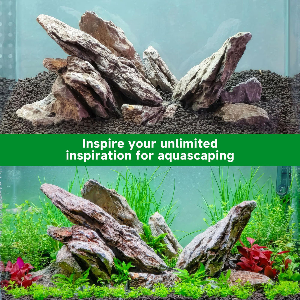 Hygger CO2 Seiryu rock with driftwood combo creates immersive landscapes