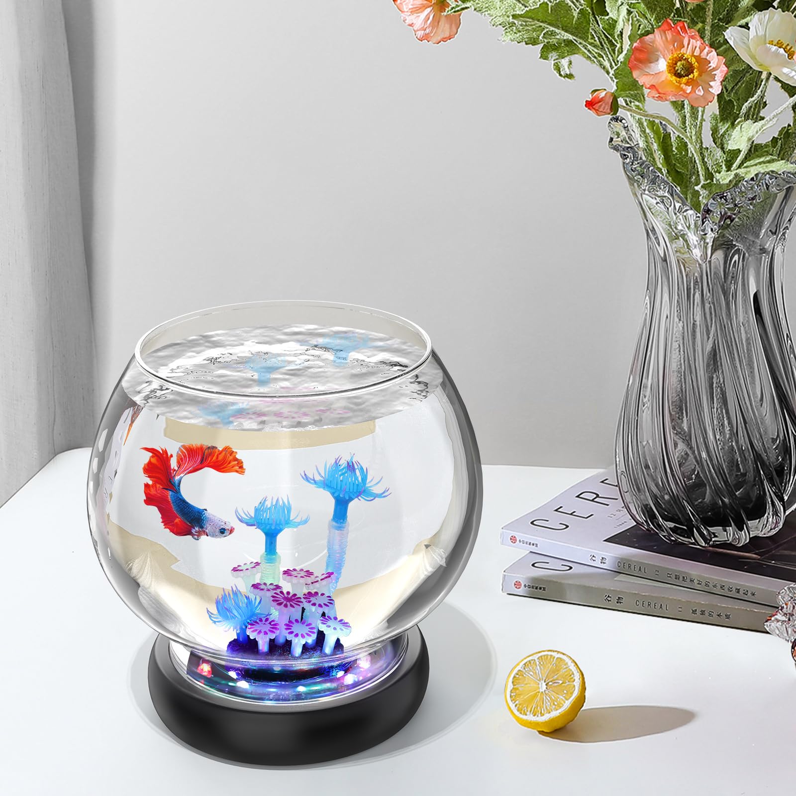 Hygger fish bowl with color cycle LED for mood lighting and decor