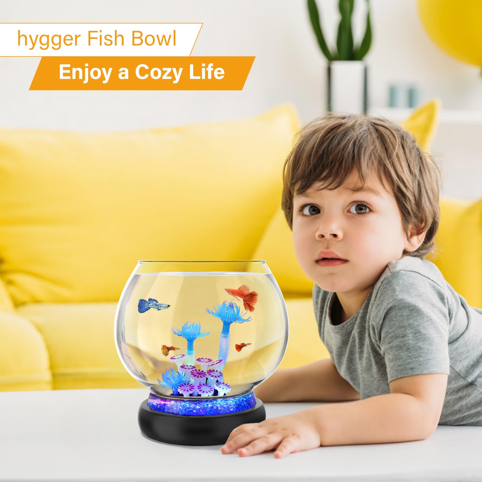 Hygger fish bowl rounded-edge safety design for kids and pets