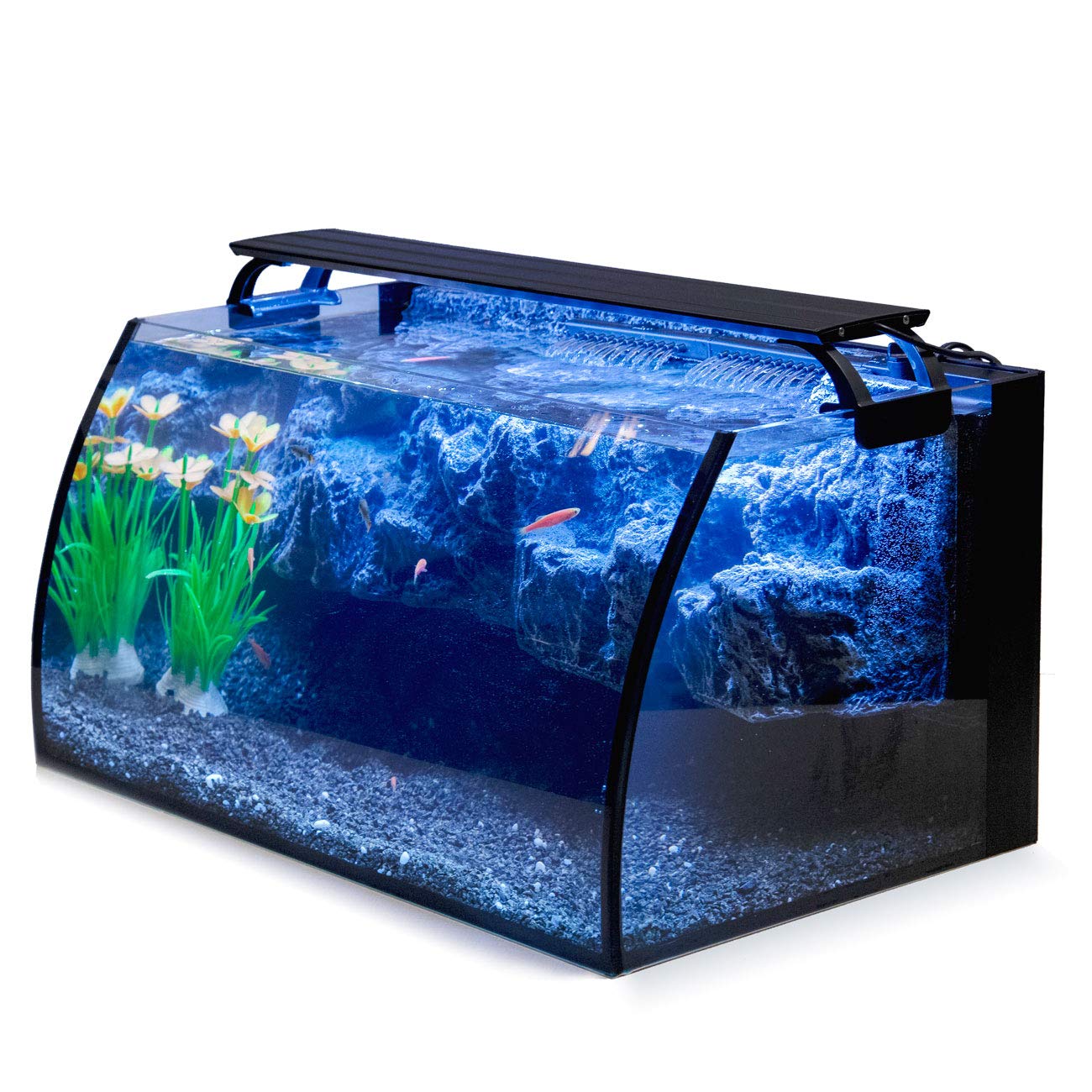 Hygger Horizon 8Gallon tank with wide view for easy observation