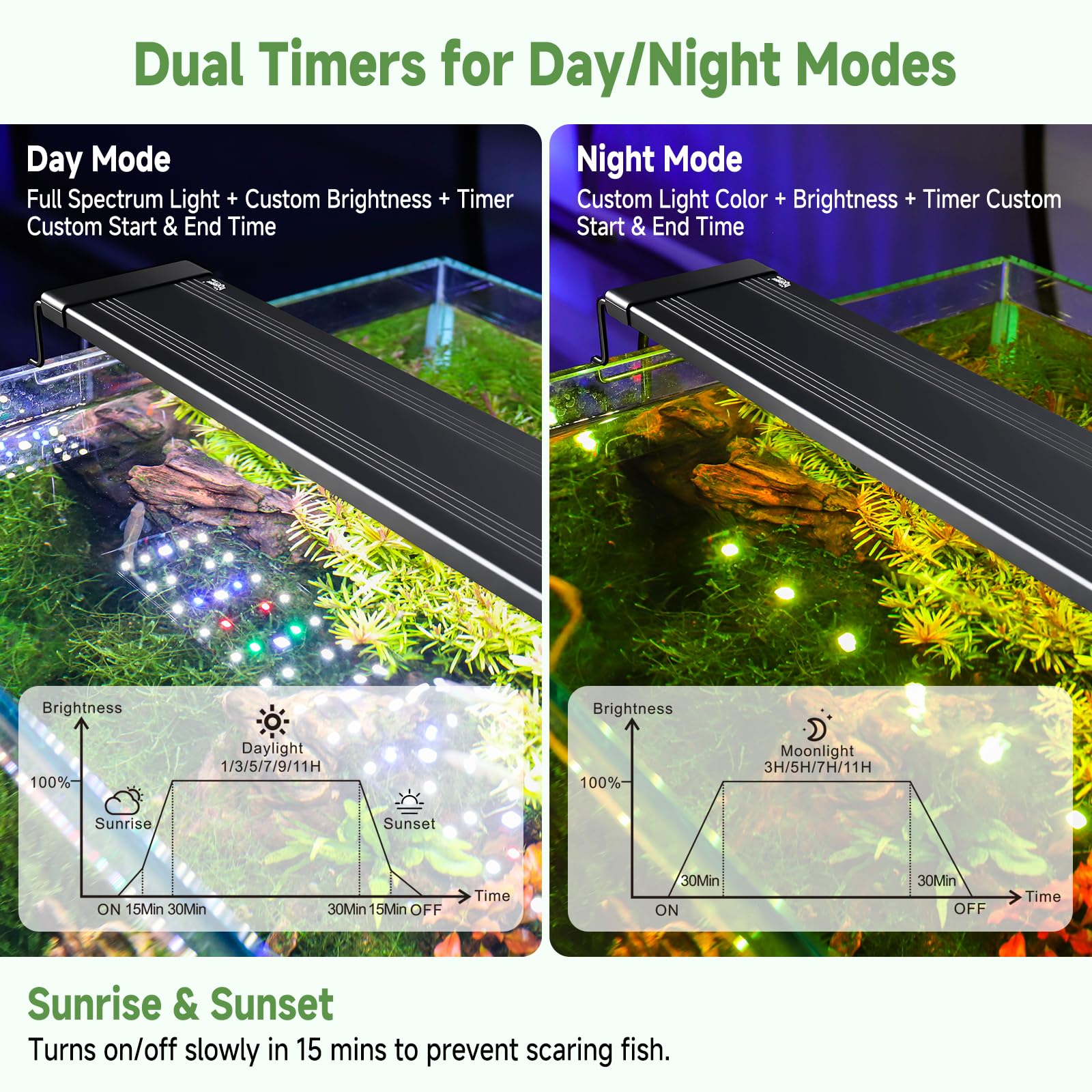 Hygger full-spectrum plant growth light supports lush aquarium plants.