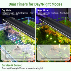 Hygger full-spectrum plant growth light supports lush aquarium plants.