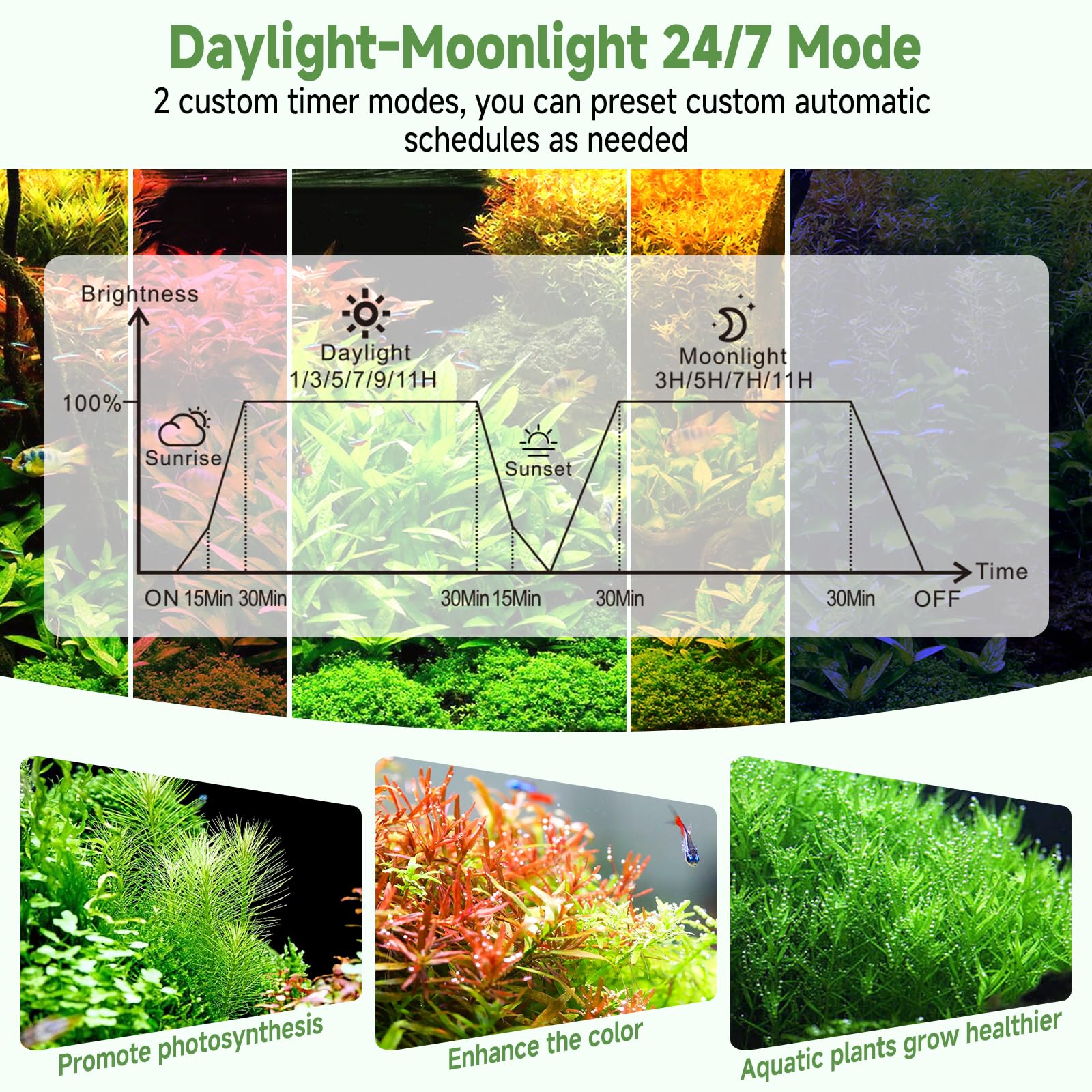 Hygger remote-control operation enables quick lighting adjustments.