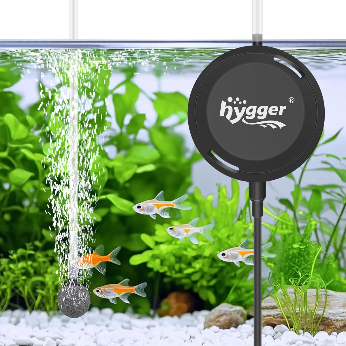 Hygger MINI 1.5W pump shown delivering whisper-quiet operation on a desk Aquarium.