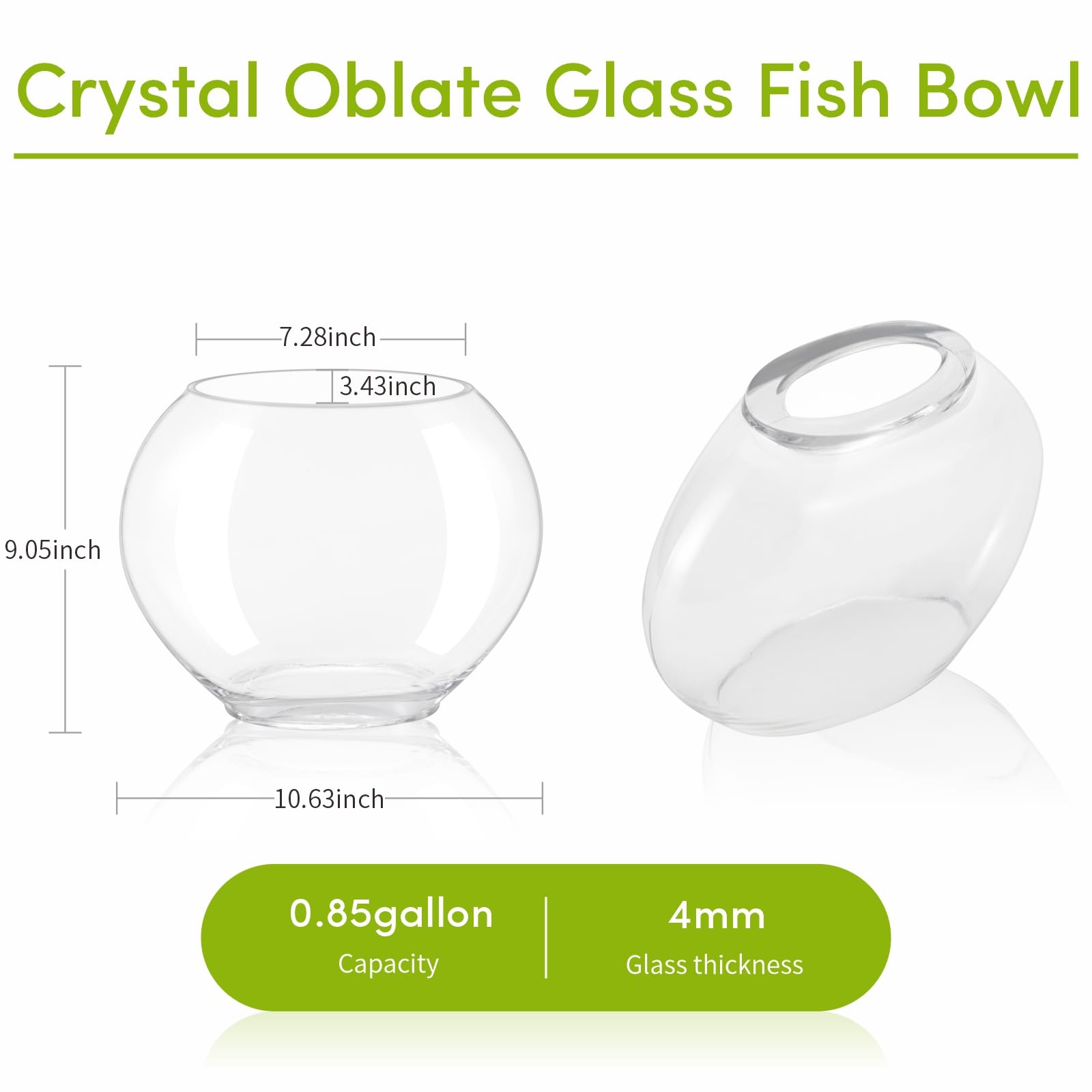 Hygger crystal-clear glass bowl offers panoramic view of tiny aquatic life.