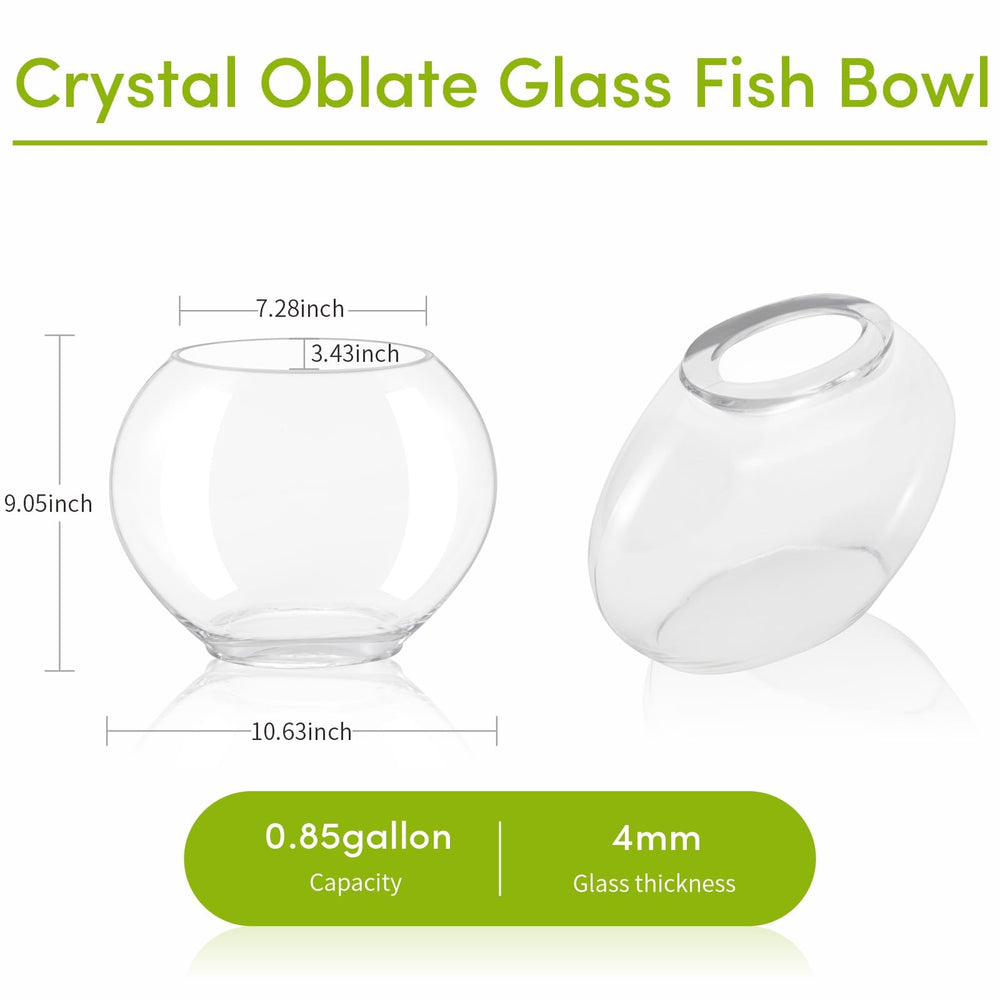 Hygger crystal-clear glass bowl offers panoramic view of tiny aquatic life.