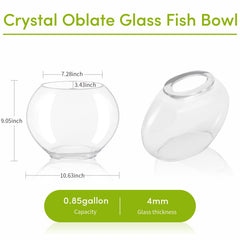 Hygger crystal-clear glass bowl offers panoramic view of tiny aquatic life.