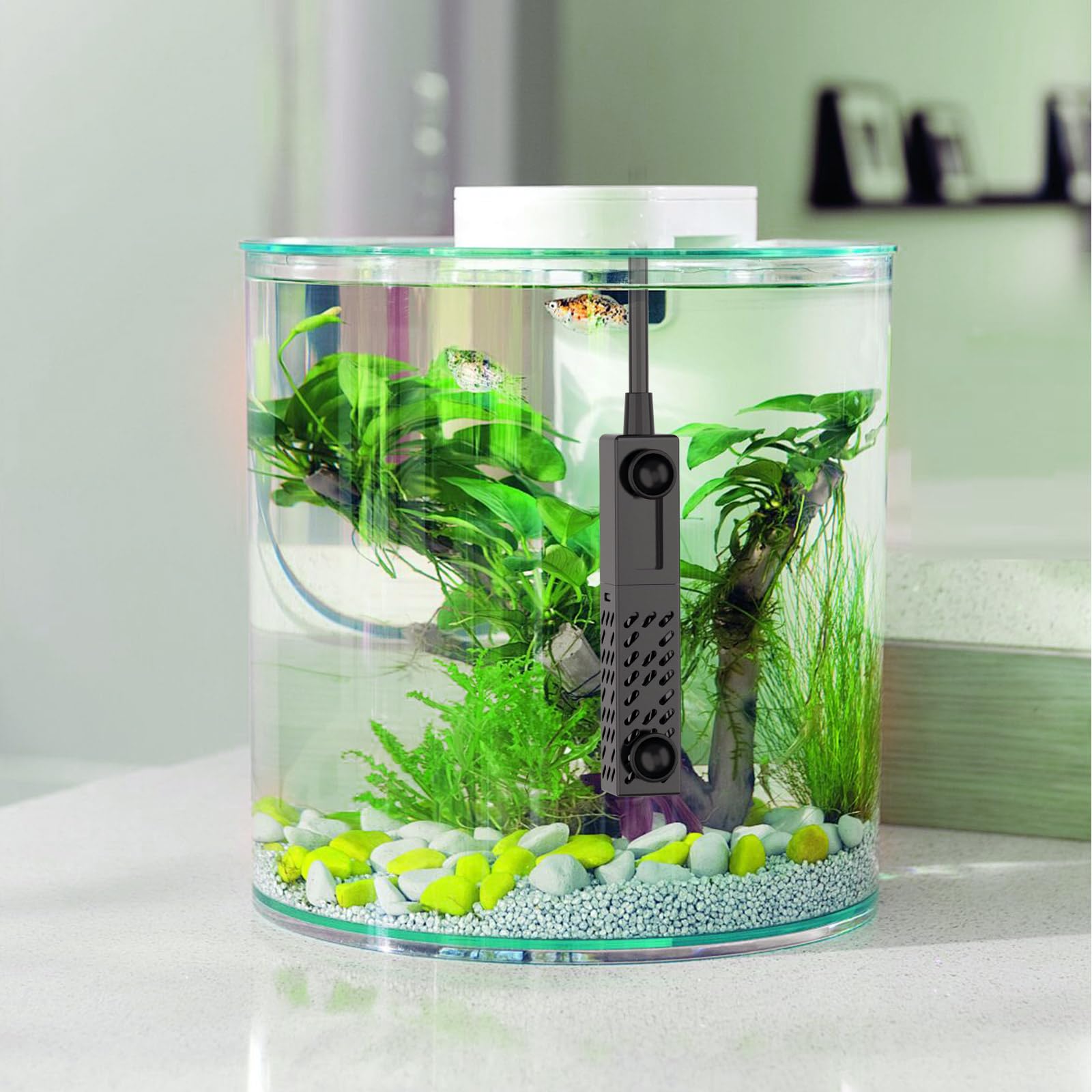 Hygger mini tank setup suited for 1–3 gallon aquariums.