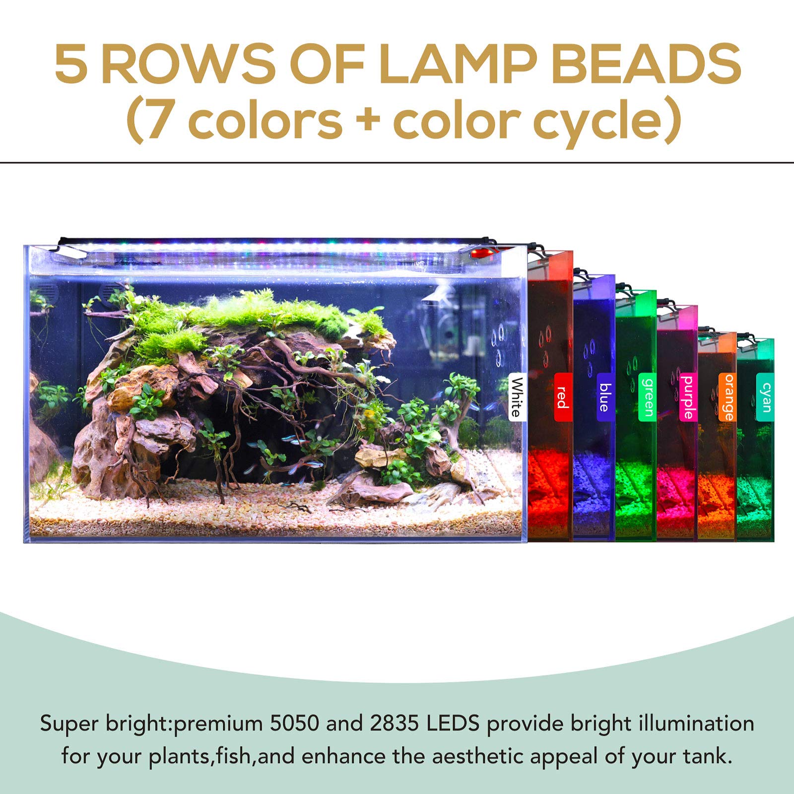 hygger planted-tank setup illuminated by the 36W LED light