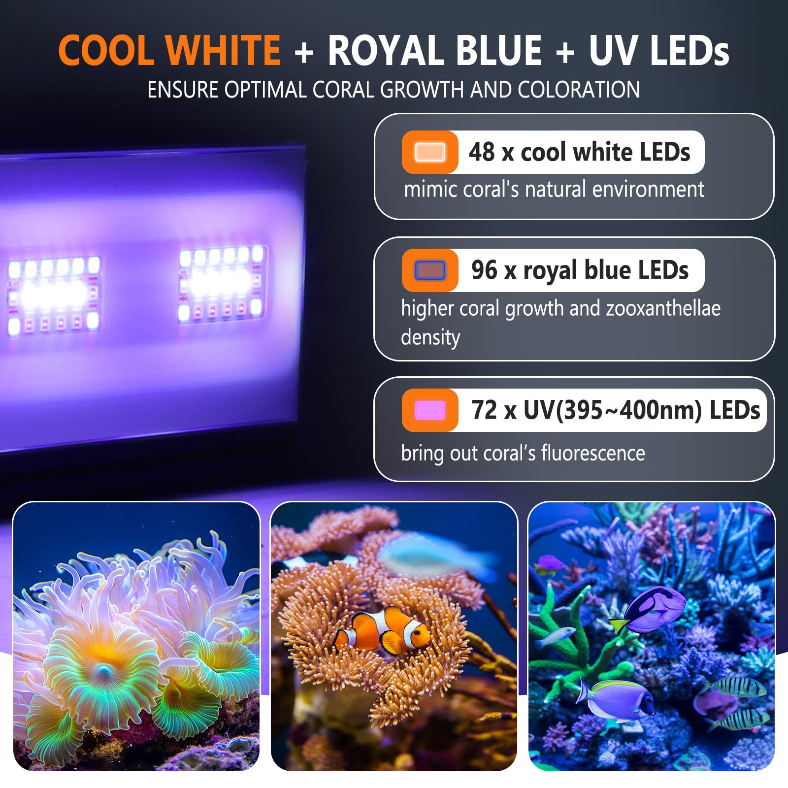 Hygger saltwater light with 24-7 mode for consistent day-night reef viewing