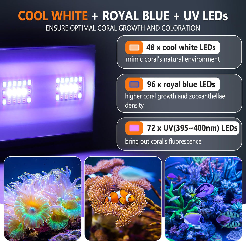 Hygger saltwater light with 24-7 mode for consistent day-night reef viewing