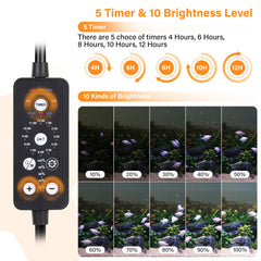 Hygger DIY mode highlights customizable time, brightness, and color choices for personalized scenes.