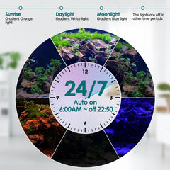 hygger three-row beads provide even full-spectrum illumination for vibrant corals