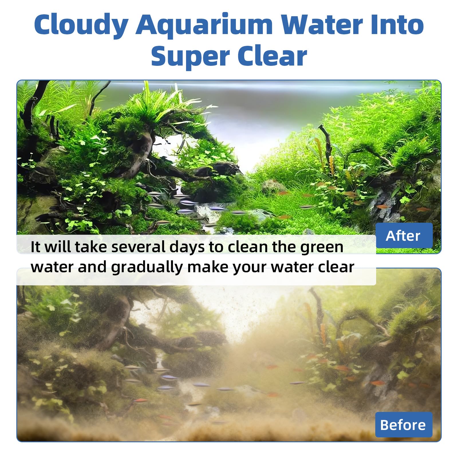 hygger U-V light promotes water clarity as part of tank circulation