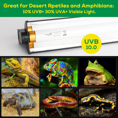 Hygger zoo curved reflector design boosts UVB intensity for desert reptiles.