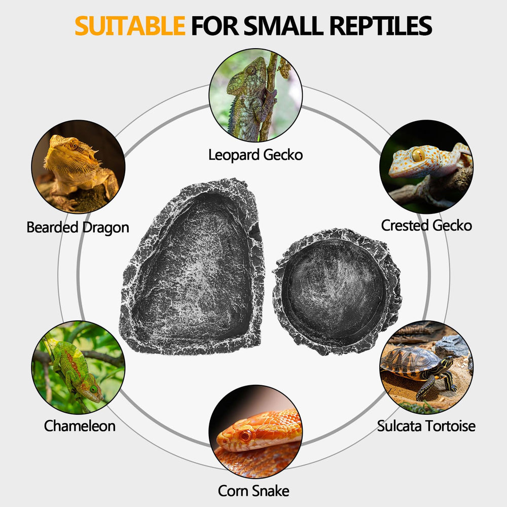 Hygger zoo reptile gift-pack box offers a ready gift for reptile lovers.